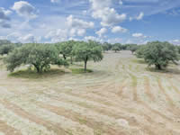 1002 Royal Oaks #1, Yorktown, TX 78164