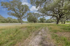 1002 Royal Oaks #1, Yorktown, TX 78164