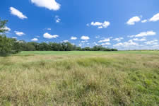 2451 FM 884, Yorktown, TX 78164