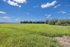 2451 FM 884, Yorktown, TX 78164