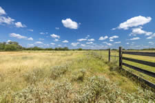 2451 FM 884, Yorktown, TX 78164