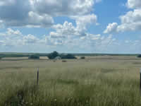 691 Gus Mueller Rd, Yorktown, TX 78141