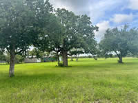TBD FM 884 / Shelby Lane, Yorktown, TX 78164