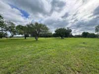 TBD FM 884 / Shelby Lane, Yorktown, TX 78164
