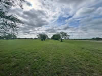 TBD FM 884 / Shelby Lane, Yorktown, TX 78164