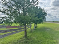 TBD FM 884 / Shelby Lane, Yorktown, TX 78164